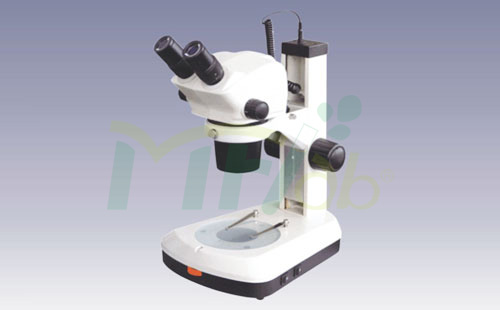 MF5319 Microscope